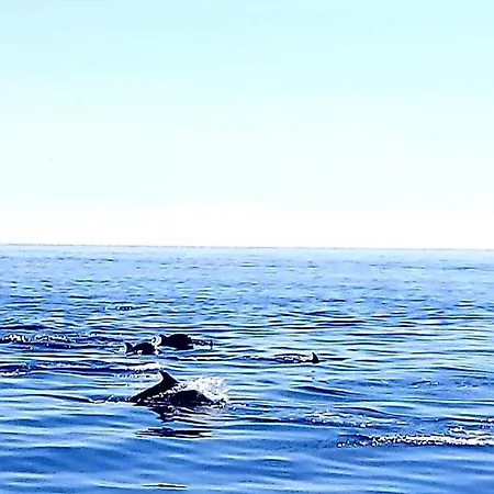 Arena Y Mar Torrevieja-apartamento