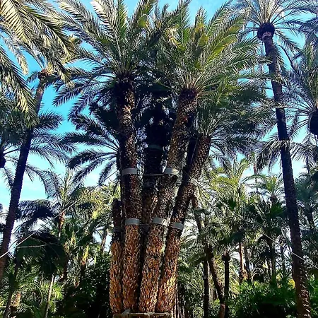 Arena Y Mar Torrevieja-apartamento Apartment