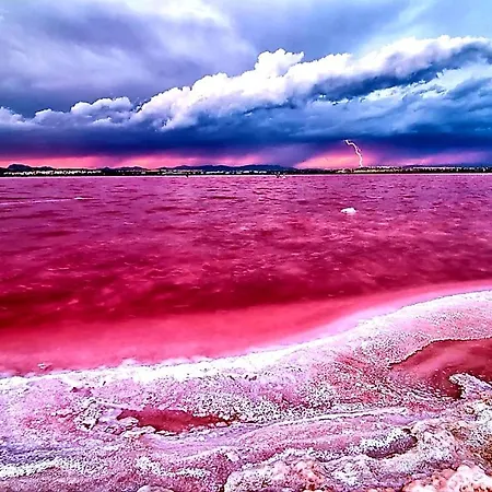 Arena Y Mar Torrevieja-apartamento * Torrevieja