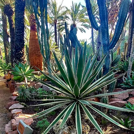 Appartamento Arena Y Mar Torrevieja-apartamento Torrevieja