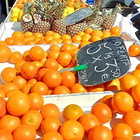 Arena Y Mar Torrevieja-apartamento *