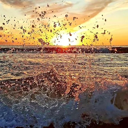 Apartment Arena Y Mar Torrevieja-apartamento *