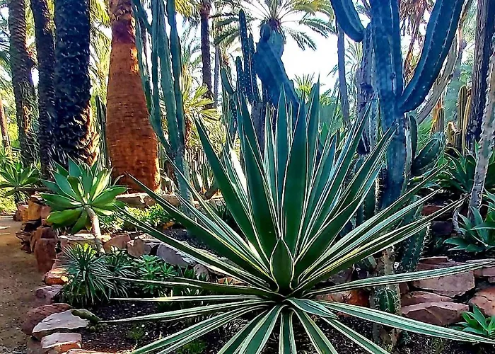 شقة Arena Y Mar Torrevieja-apartamento تورّيفيِخا