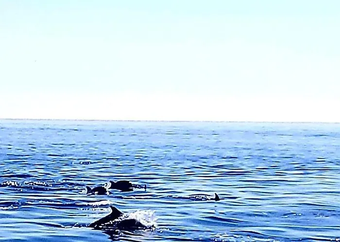 Arena Y Mar Torrevieja-apartamento