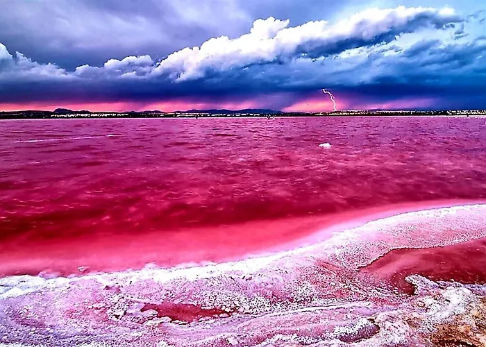 Arena Y Mar Torrevieja-apartamento * Torrevieja